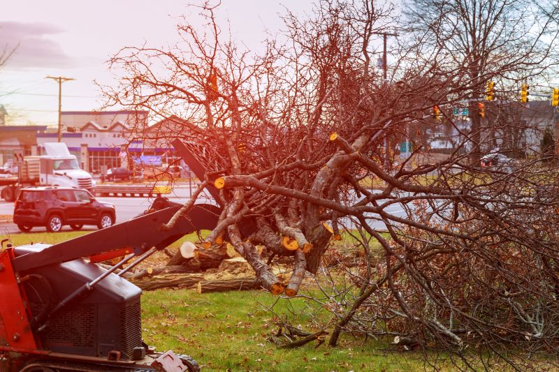 Land Clearing in Salt Lake City, UT