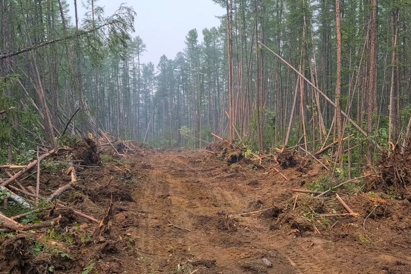 Land Clearing in Salt Lake City, UT